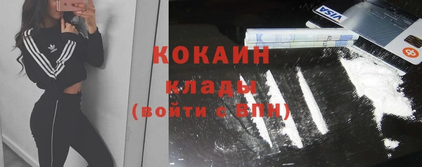 индика Балабаново