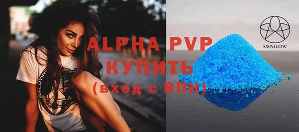 индика Балабаново