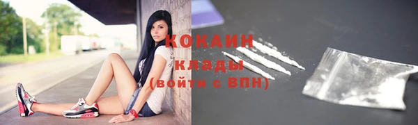 индика Балабаново