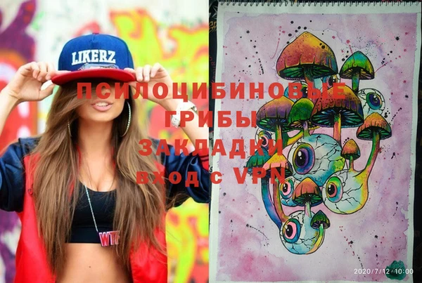 индика Балабаново