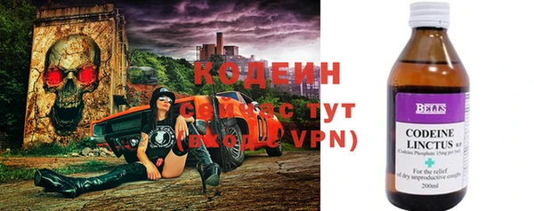 индика Балабаново
